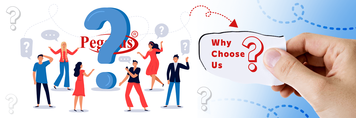 Why to Choose US?